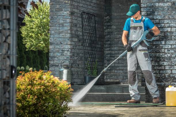 Animal Enclosure Cleaning in Graysville, AL